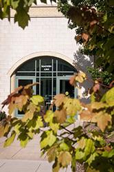 Trees against building on Frisco campus